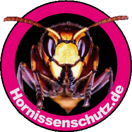Hornissenschutz Banner